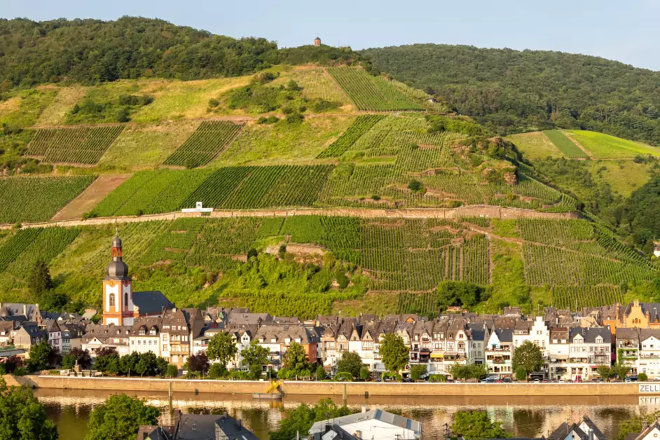 Lage im Weinanbau - Mosel