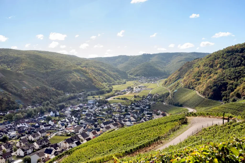 Ahr - Anbaugebiet deutscher Weißwein