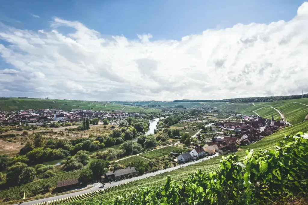 Franken - Anbaugebiet deutscher Weißwein