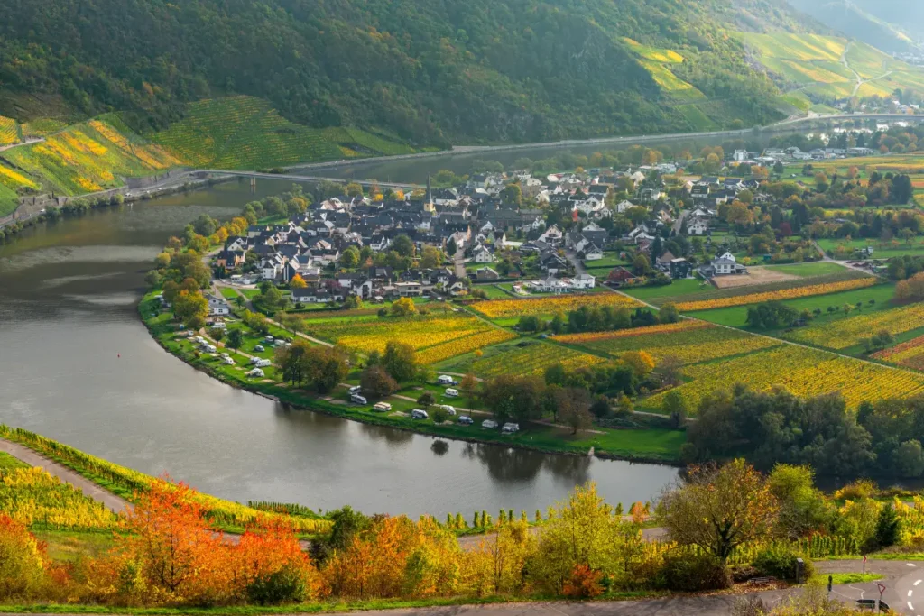 Mosel - Anbaugebiet deutscher Weißwein