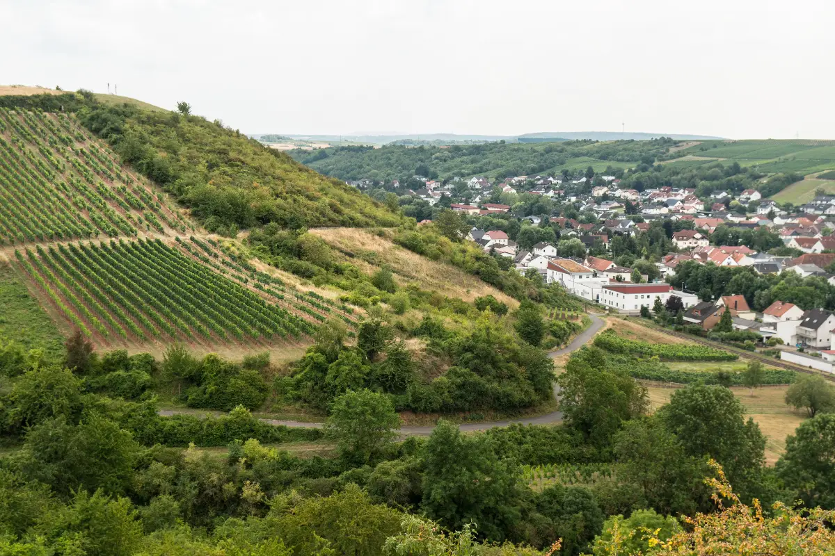 Nahe - Anbaugebiet deutscher Weißwein