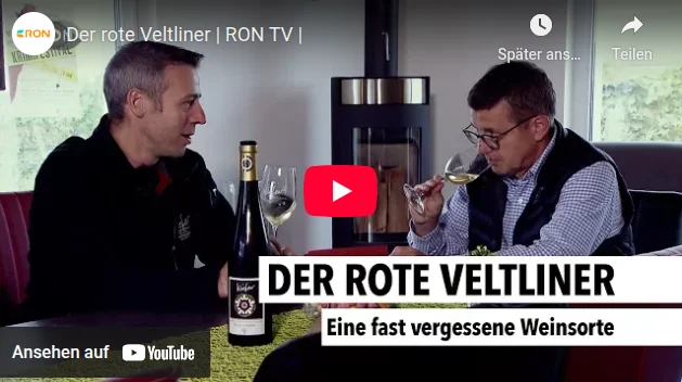 Der Rote Veltiner - Weingut Jonas Kiefer
