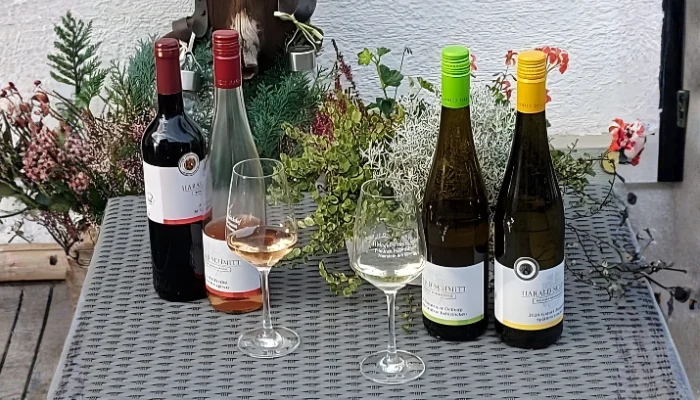 Weine vom Weingut Friedrichshof