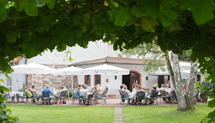 Weinverkostung auf dem Weingut Sans-Lorch