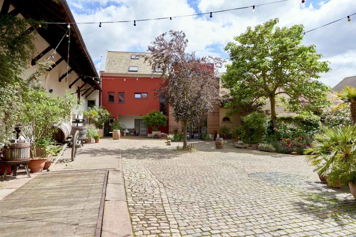 THEOS Wein und Gut - Der Hof