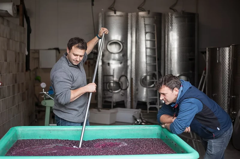 Weinherstellung - Weingut Karl May