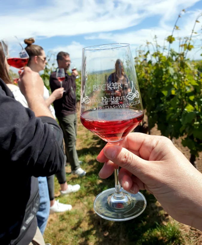 Weinwanderung - Becker das Weingut